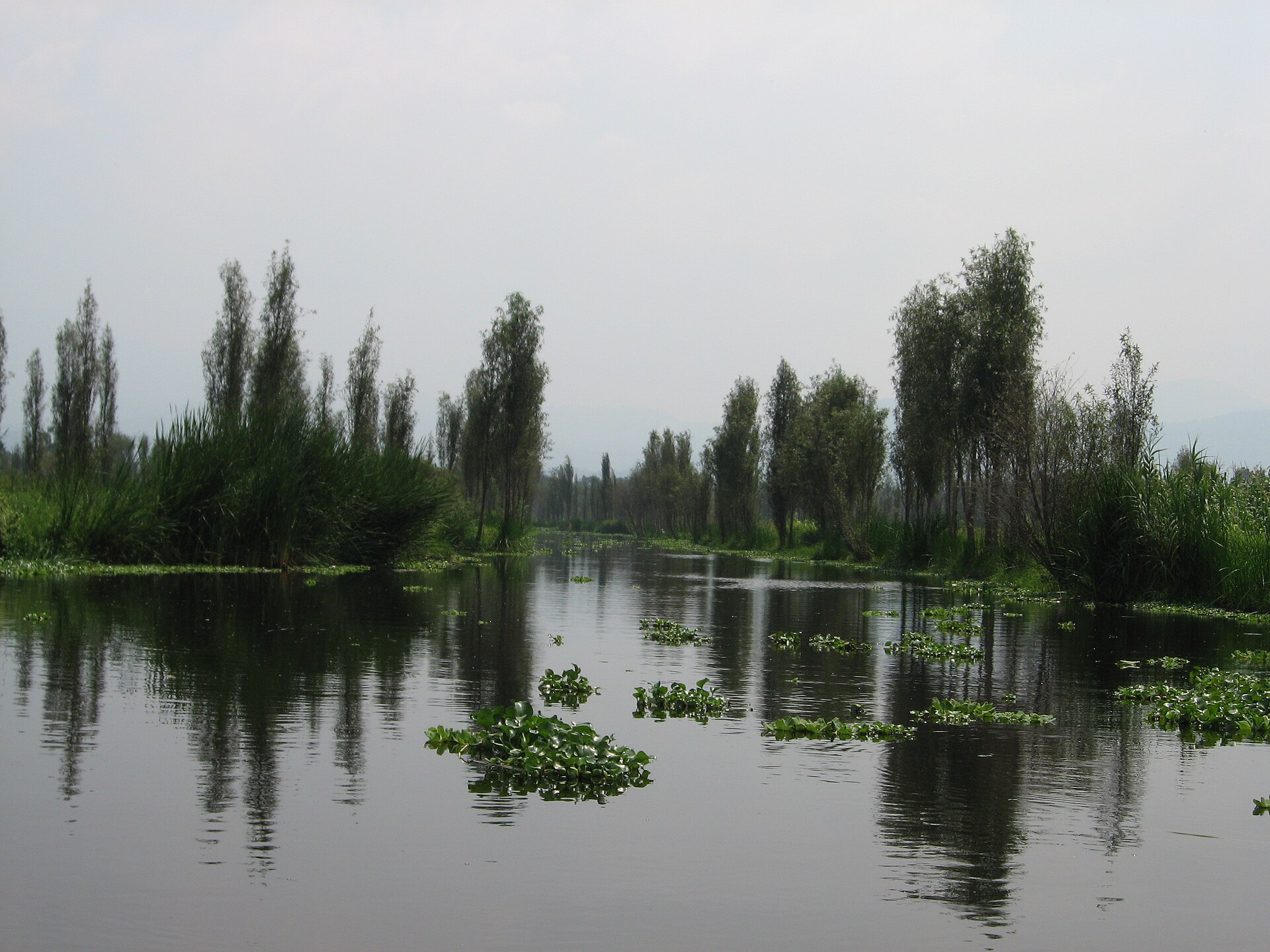 Chinampas de Xochimilco, Ciudad de México