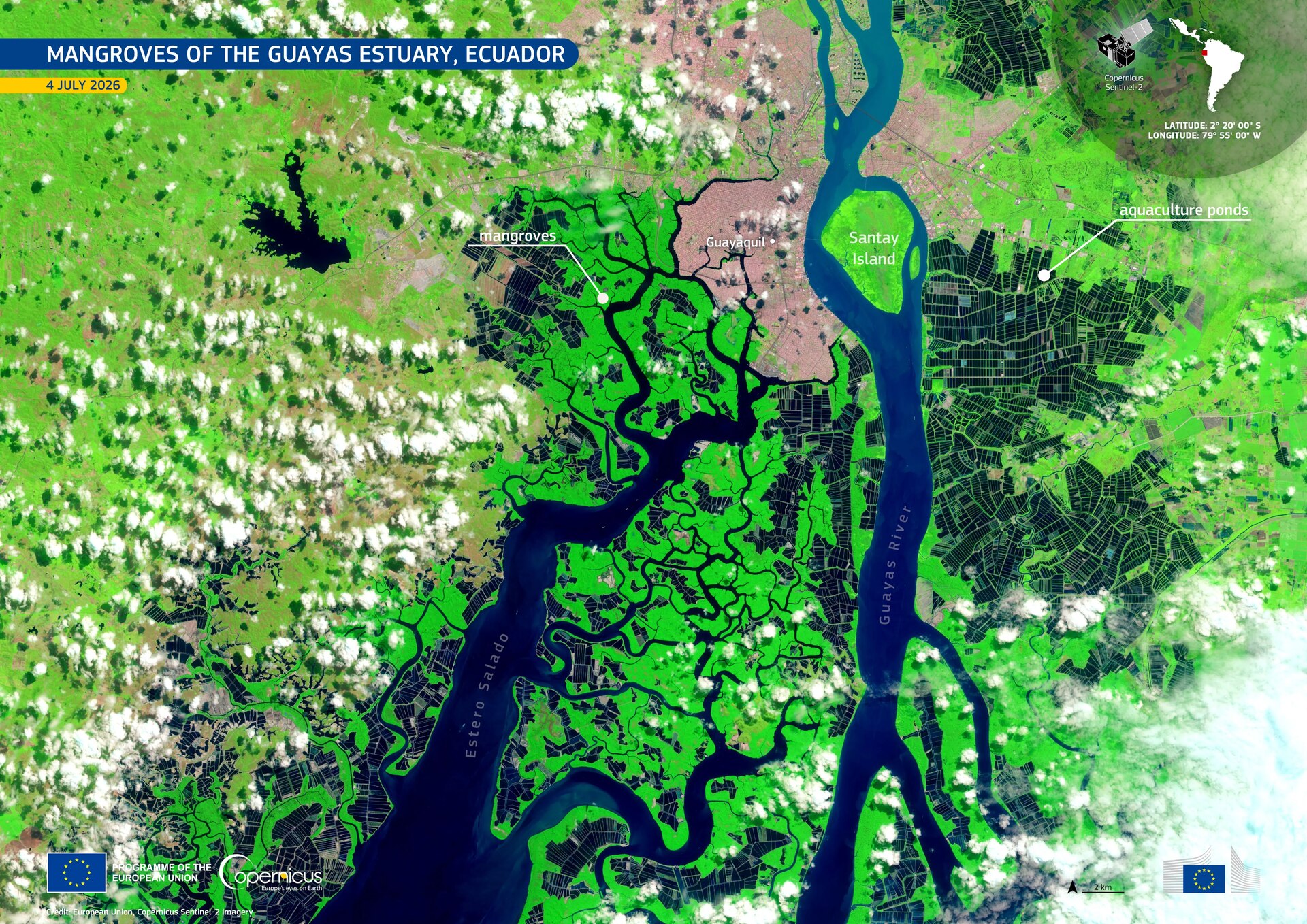 Manglares del estuario del Guayas